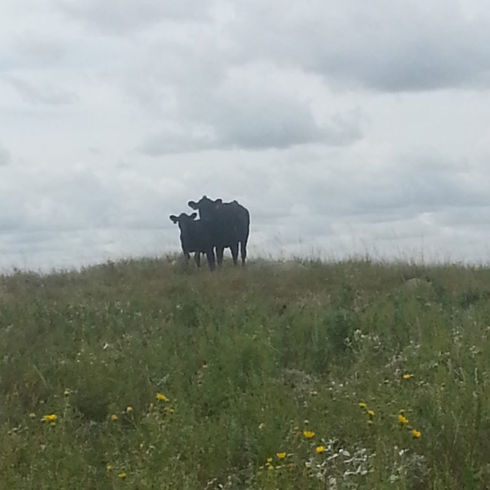 Meet your Posher, J.